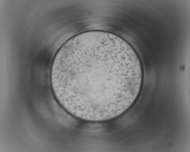 X0000112961338200908271107