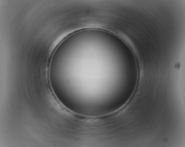 X0000112961340200908271107