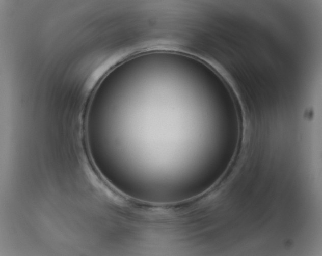 X0000112961341200908271107