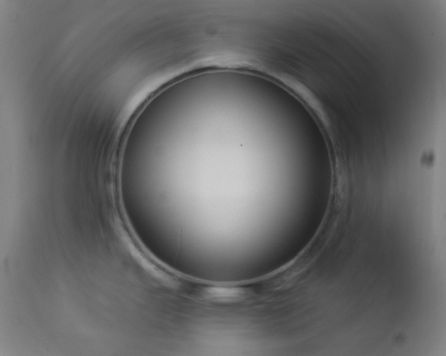 X0000112961343200908271107