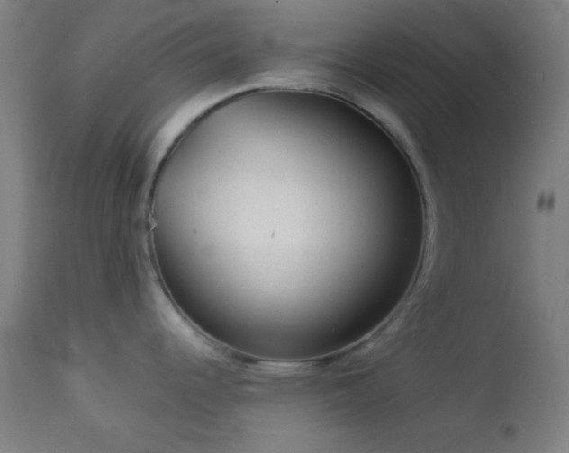 X0000112961344200908271107