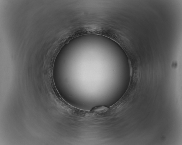 X0000112961345200908271106