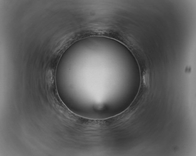 X0000112961347200908271106