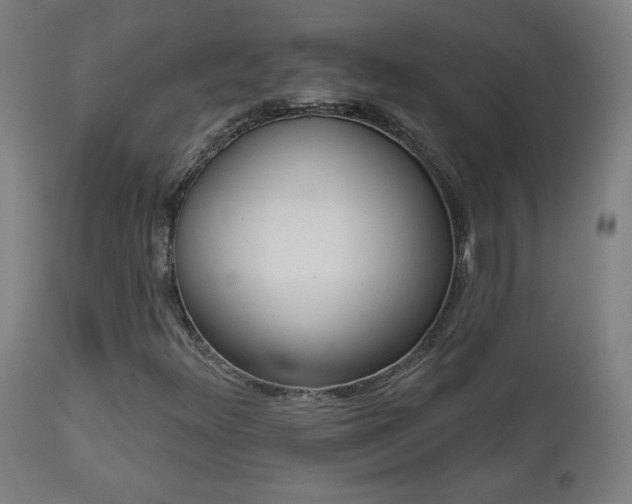 X0000112961348200908271106