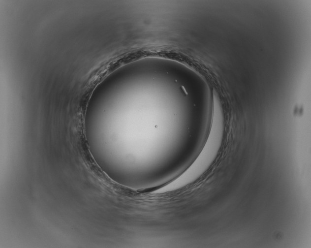 X0000112961349200908271106