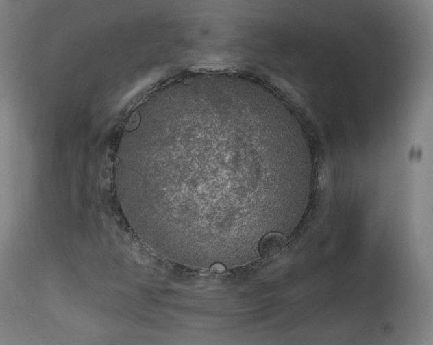 X0000112961350200908271106