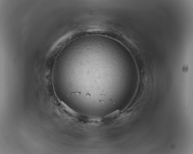 X0000112961351200908271106