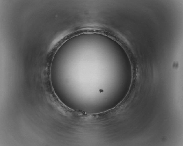 X0000112961352200908271106