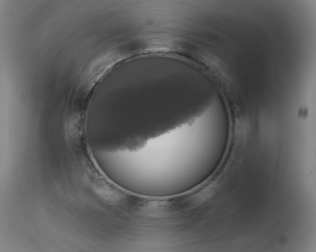 X0000112961353200908271106