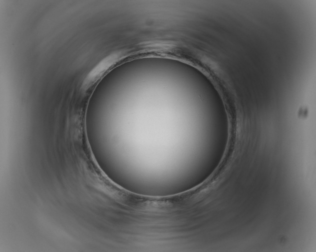 X0000112961354200908271106