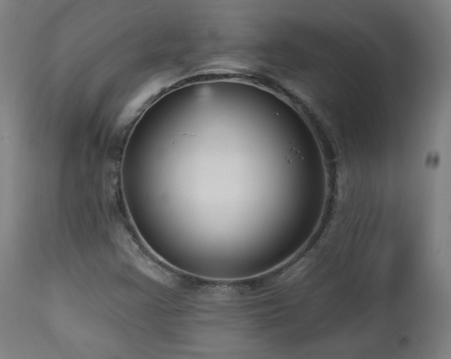 X0000112961355200908271106