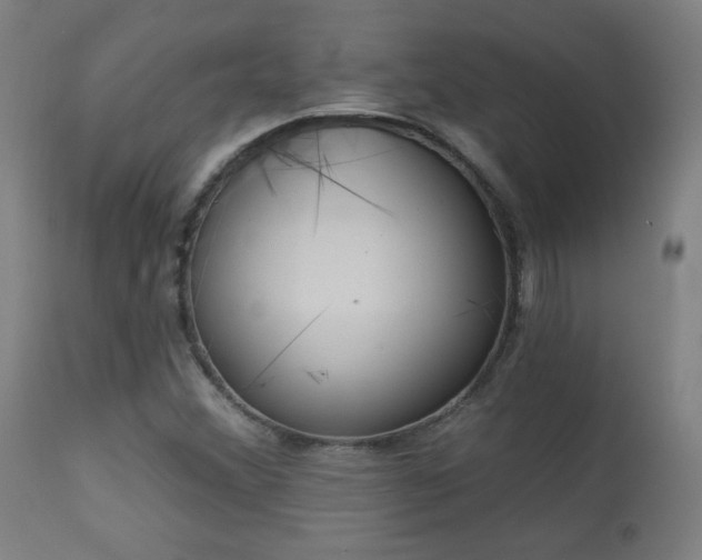 X0000112961356200908271106