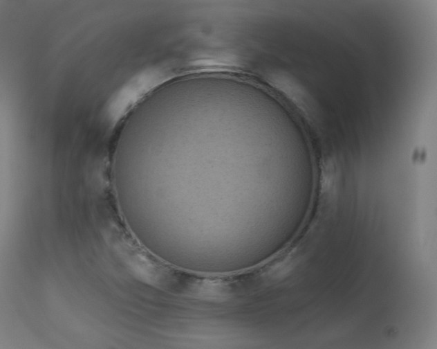 X0000112961357200908271106