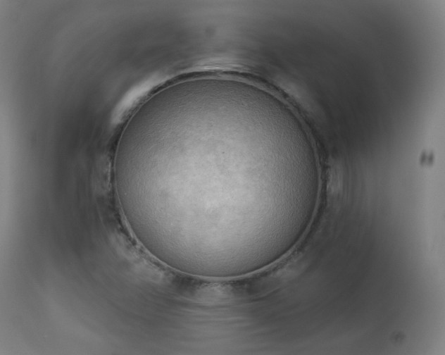 X0000112961358200908271106