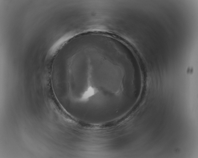 X0000112961359200908271106