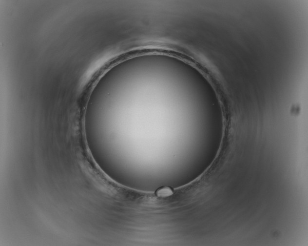 X0000112961360200908271106