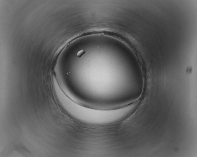 X0000112961361200908271106