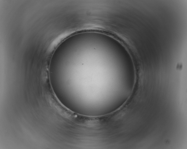 X0000112961363200908271106