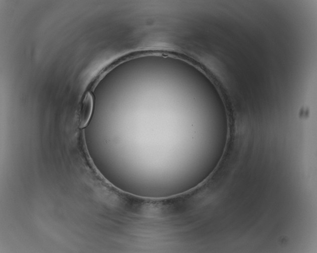 X0000112961364200908271106