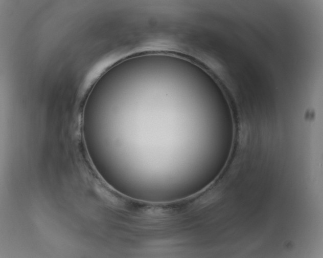 X0000112961366200908271106