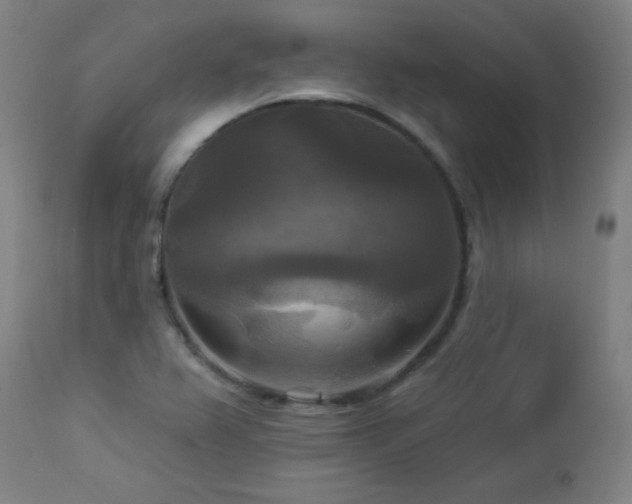 X0000112961367200908271106