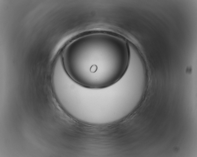 X0000112961368200908271106