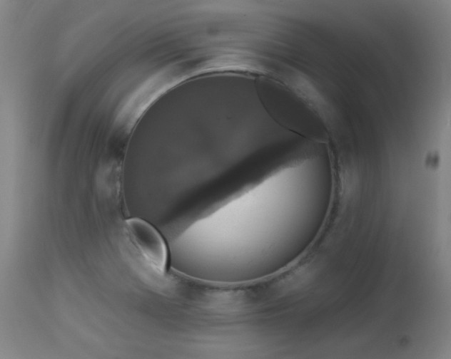 X0000112961369200908271106