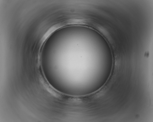 X0000112961370200908271106