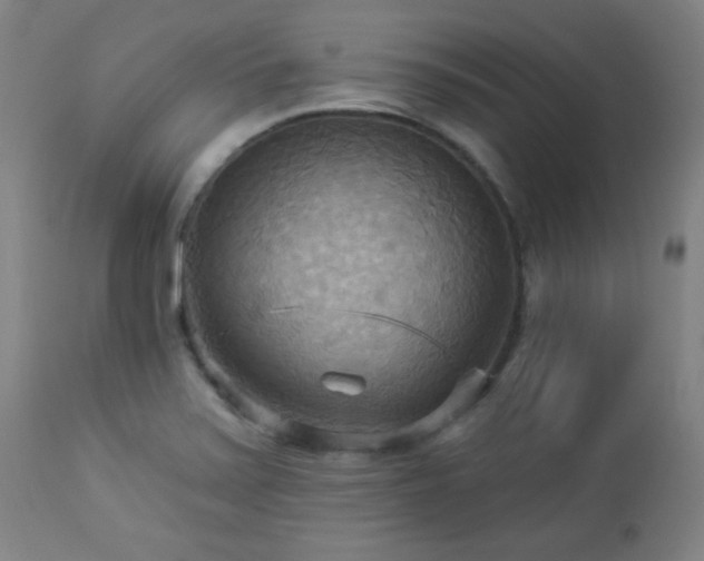 X0000112961371200908271106