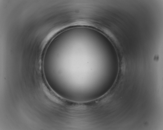 X0000112961372200908271106