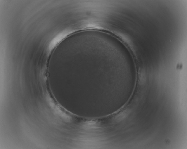 X0000112961373200908271106