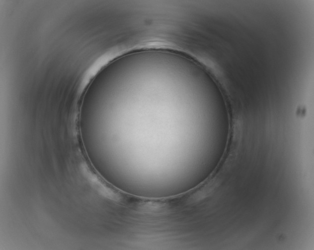 X0000112961374200908271106