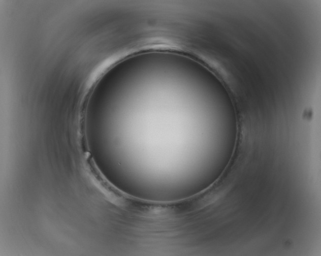 X0000112961375200908271106