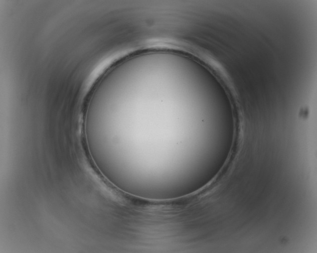 X0000112961376200908271106