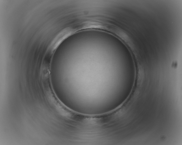 X0000112961377200908271106