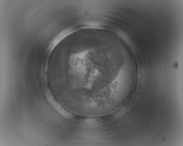 X0000112961378200908271106