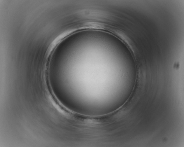 X0000112961379200908271106