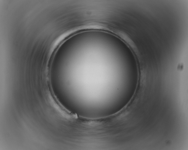 X0000112961380200908271106