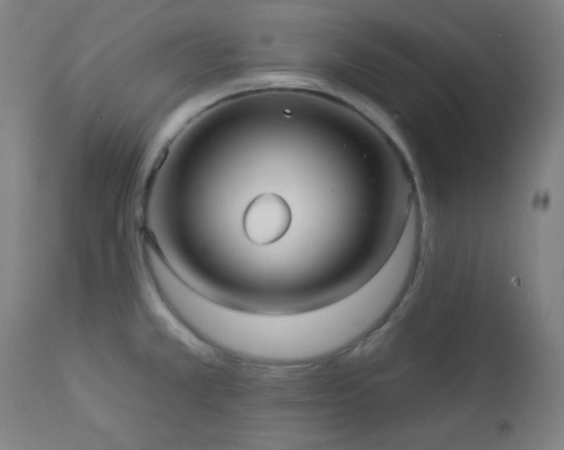 X0000112961381200908271106