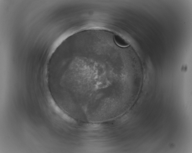 X0000112961382200908271106