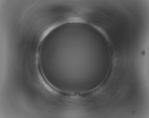 X0000112961383200908271106