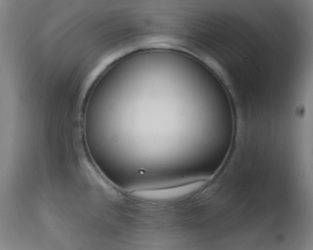 X0000112961384200908271106