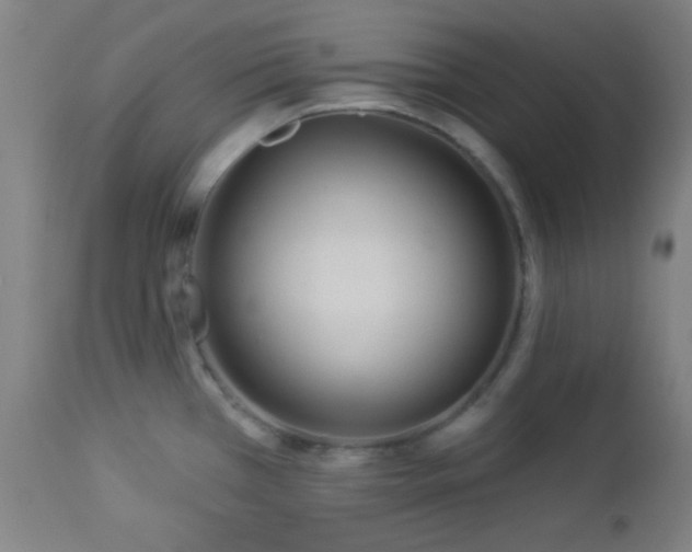 X0000112961385200908271106