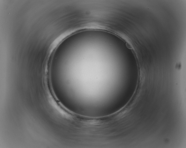 X0000112961387200908271106