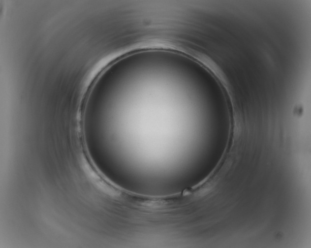 X0000112961388200908271106