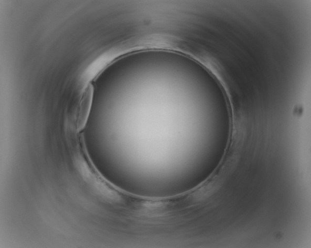 X0000112961389200908271106