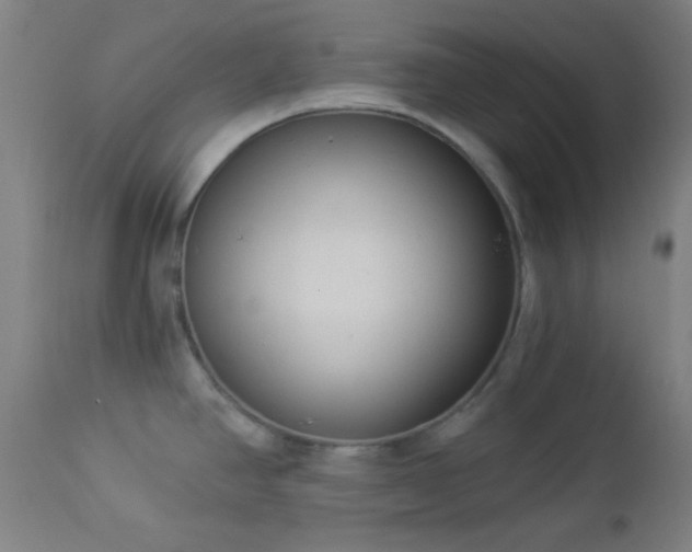 X0000112961390200908271106