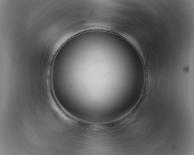 X0000112961391200908271106