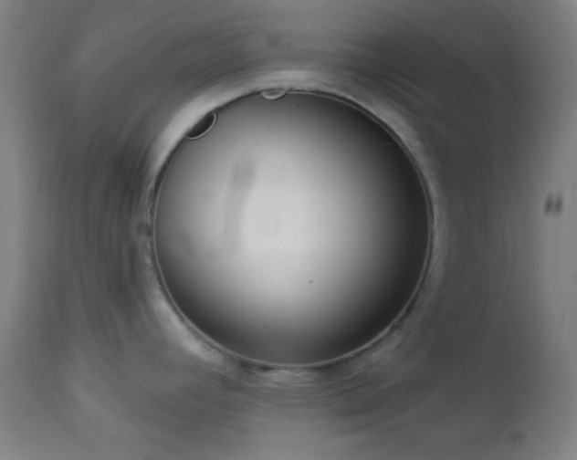 X0000112961392200908271106