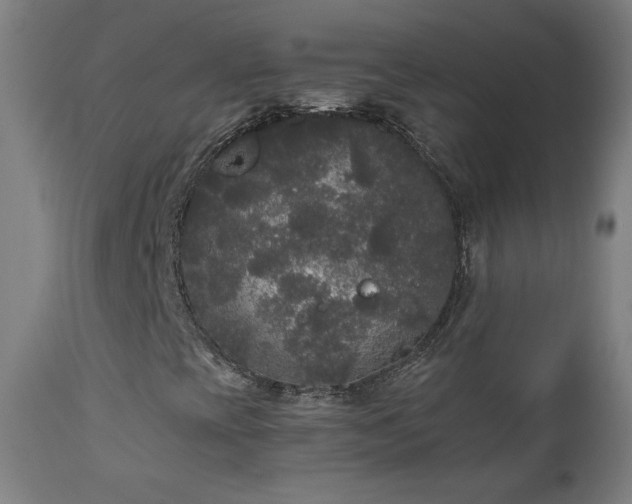 X0000112961393200908271105